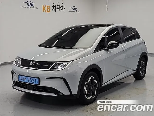 BYD Dolphin Base