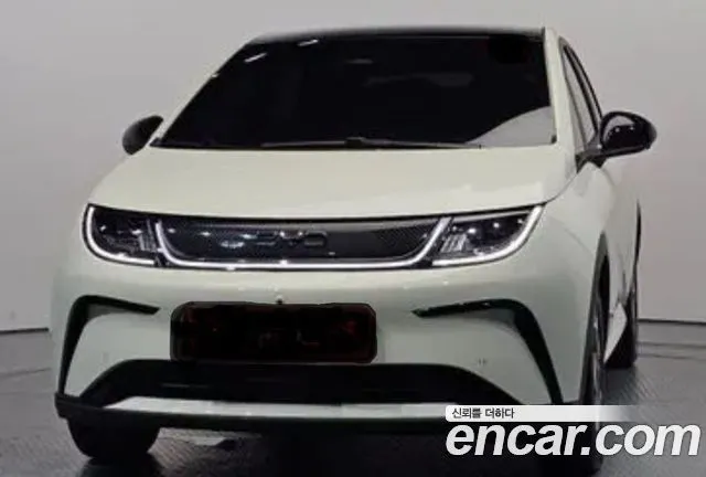BYD Dolphin Base